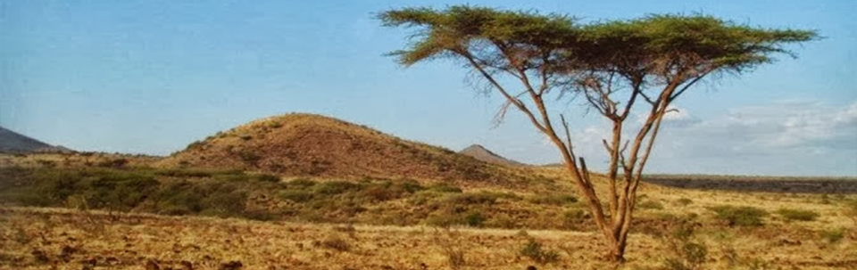 Kenya: un vis devenit realitate